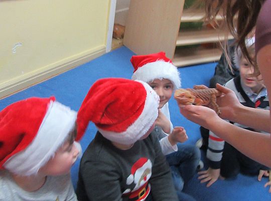 Mikołajkowe niespodzianki -gr III,IV