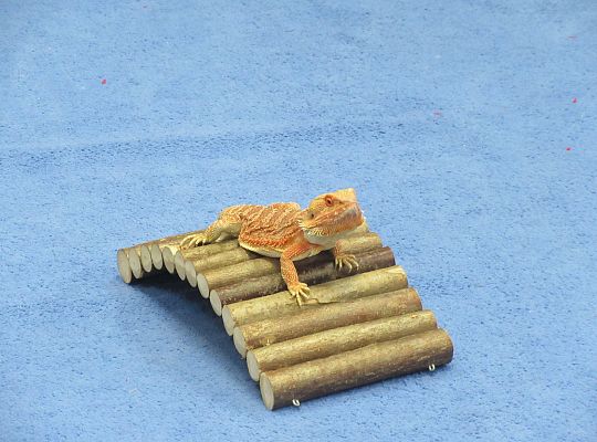 Mikołajkowe niespodzianki -gr III,IV