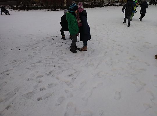 My się zimy nie boimy