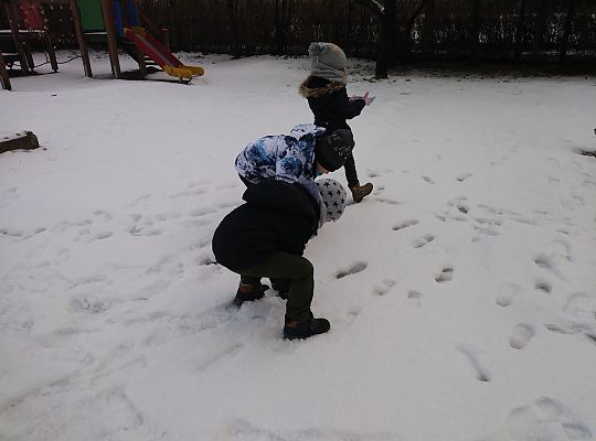 My się zimy nie boimy