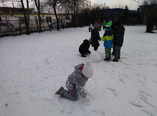 My się zimy nie boimy