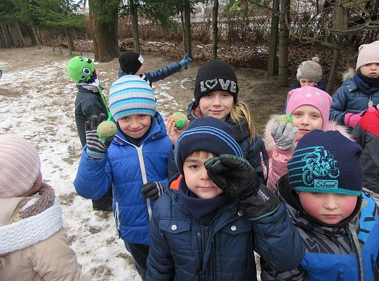 Dokarmiamy ptaki grupa IV