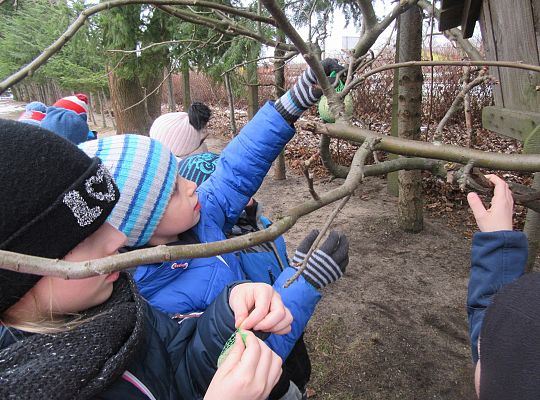 Dokarmiamy ptaki grupa IV