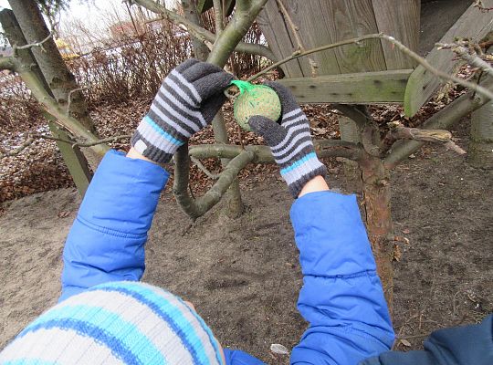 Dokarmiamy ptaki grupa IV