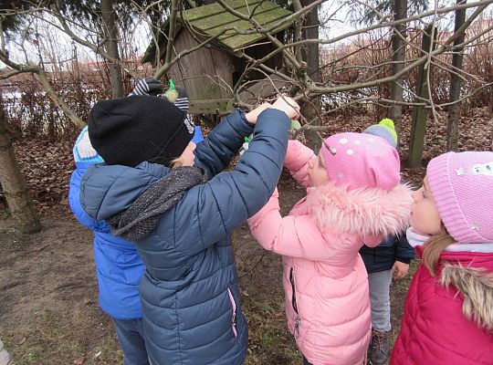 Dokarmiamy ptaki grupa IV