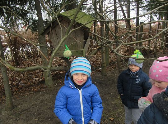 Dokarmiamy ptaki grupa IV