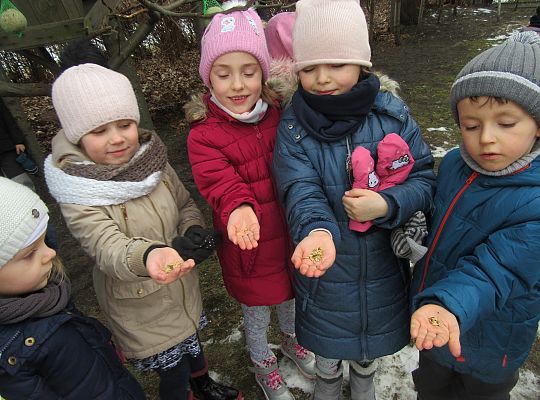 Dokarmiamy ptaki grupa IV