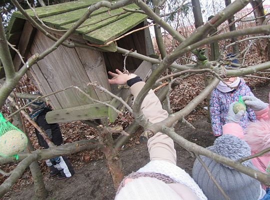 Dokarmiamy ptaki grupa IV