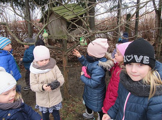 Dokarmiamy ptaki grupa IV