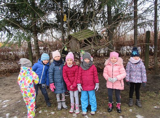 Dokarmiamy ptaki grupa IV