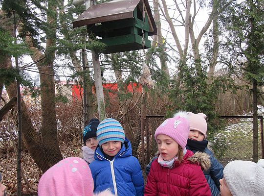 Dokarmiamy ptaki grupa IV