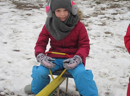 Dokarmiamy ptaki grupa IV