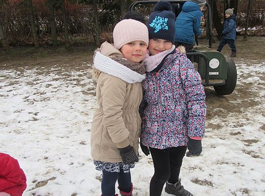 Dokarmiamy ptaki grupa IV