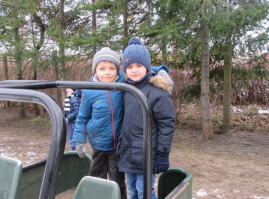 Dokarmiamy ptaki grupa IV