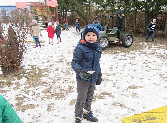 Dokarmiamy ptaki grupa IV