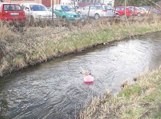 Pierwszy dzień wiosny-topimy Marzanne