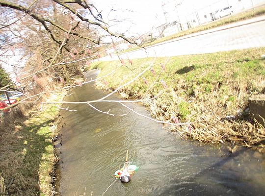 Pierwszy dzień wiosny-topimy Marzanne