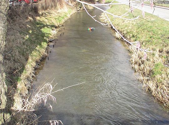 Pierwszy dzień wiosny-topimy Marzanne