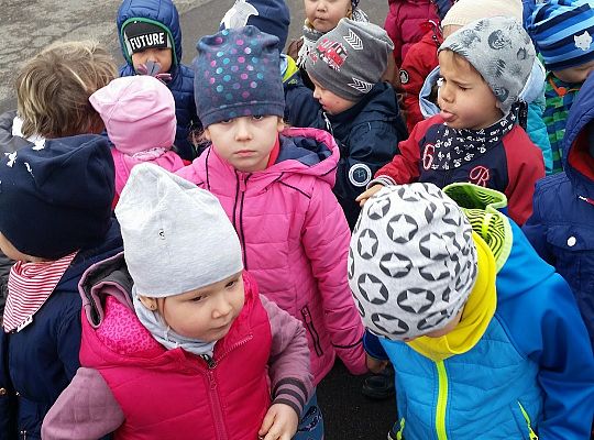 W kinie Fregata na przedstawieniu "Niedźwiedź i Masza" Gr I i II