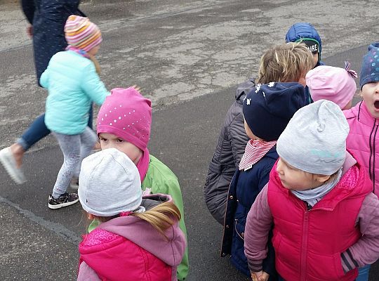 W kinie Fregata na przedstawieniu "Niedźwiedź i Masza" Gr I i II