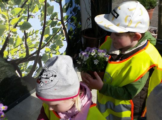 Wizyta w centrum ogrodniczym