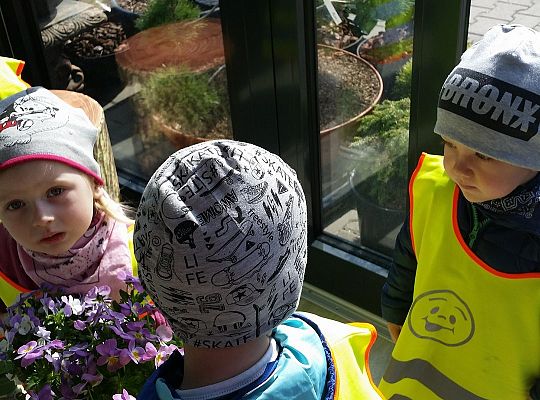 Wizyta w centrum ogrodniczym