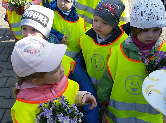 Wizyta w centrum ogrodniczym