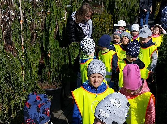 Wizyta w centrum ogrodniczym