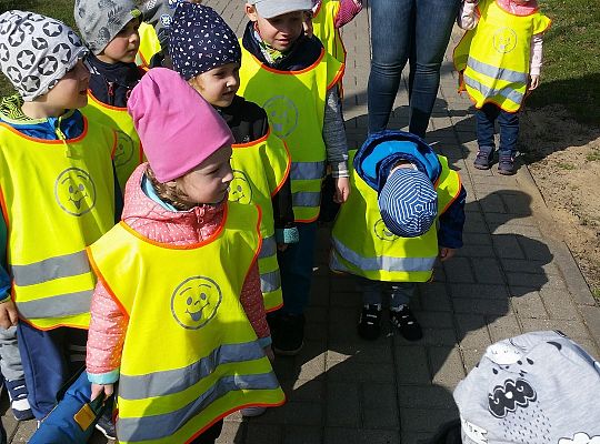 Wizyta w centrum ogrodniczym