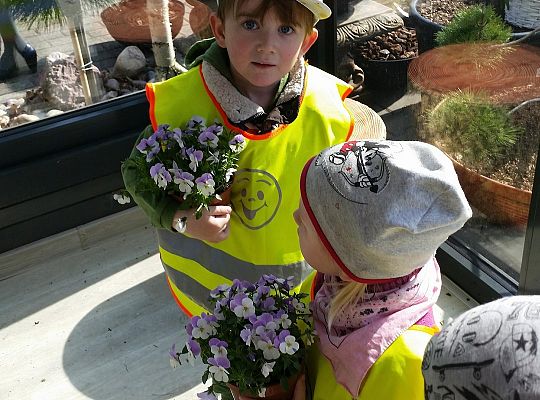 Wizyta w centrum ogrodniczym