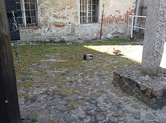 Lębork i jego zabytki