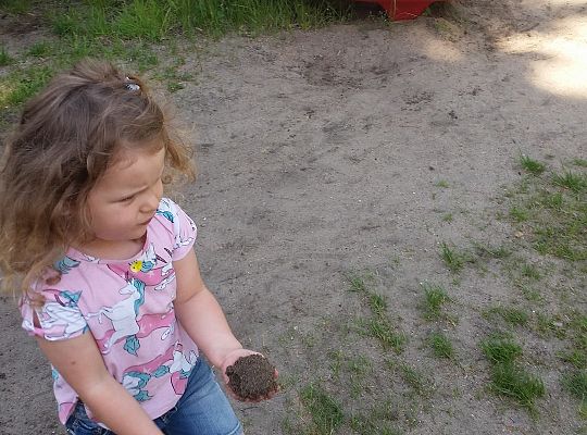 Super zabawa w słoneczny dzień