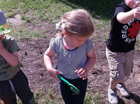 Super zabawa w słoneczny dzień