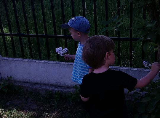 Super zabawa w słoneczny dzień