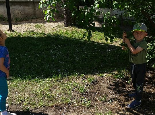 Super zabawa w słoneczny dzień