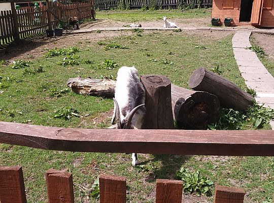 Wycieczka do Stryszej Budy gr III,IV