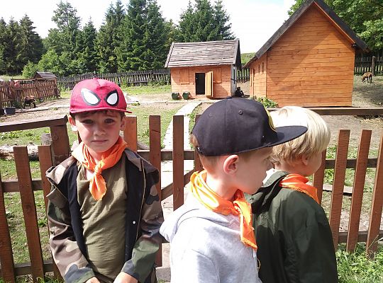 Wycieczka do Stryszej Budy gr III,IV