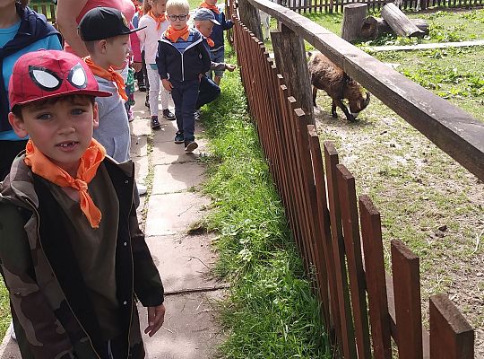 Wycieczka do Stryszej Budy gr III,IV