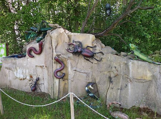 Wycieczka do Stryszej Budy gr III,IV