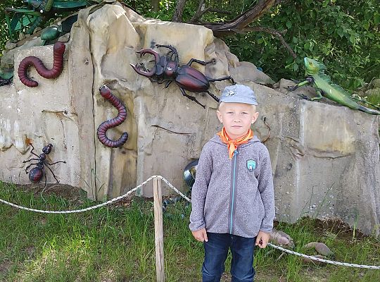 Wycieczka do Stryszej Budy gr III,IV