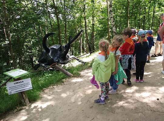 Wycieczka do Stryszej Budy gr III,IV