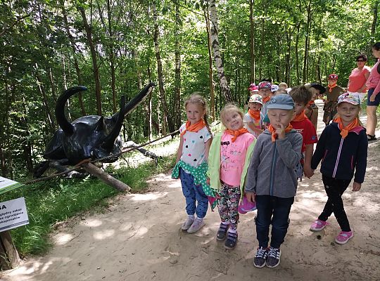 Wycieczka do Stryszej Budy gr III,IV