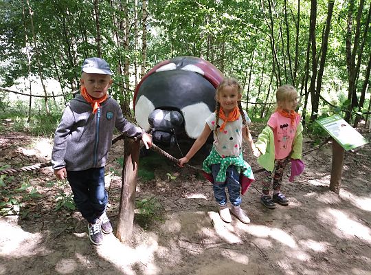 Wycieczka do Stryszej Budy gr III,IV