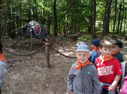 Wycieczka do Stryszej Budy gr III,IV