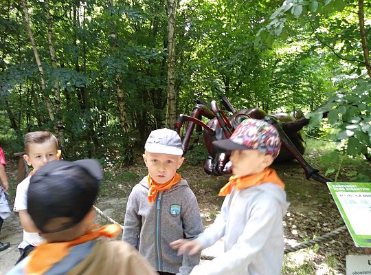 Wycieczka do Stryszej Budy gr III,IV