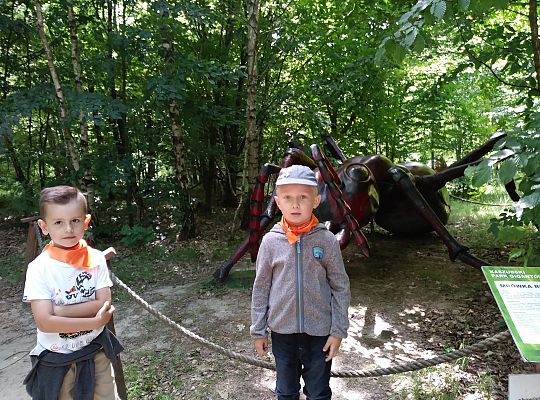 Wycieczka do Stryszej Budy gr III,IV