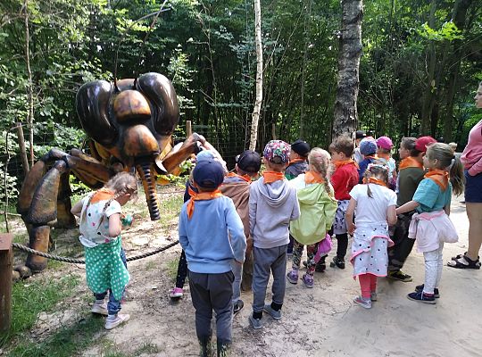 Wycieczka do Stryszej Budy gr III,IV