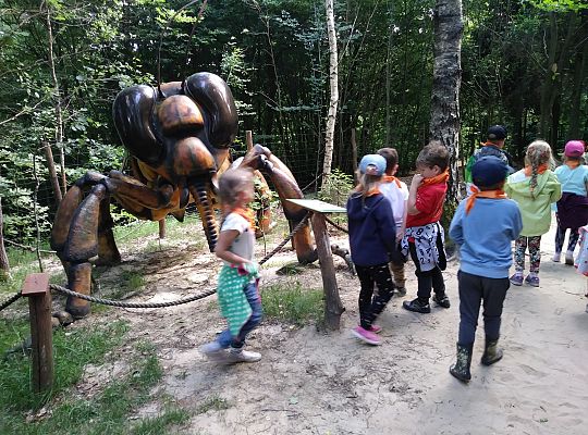 Wycieczka do Stryszej Budy gr III,IV