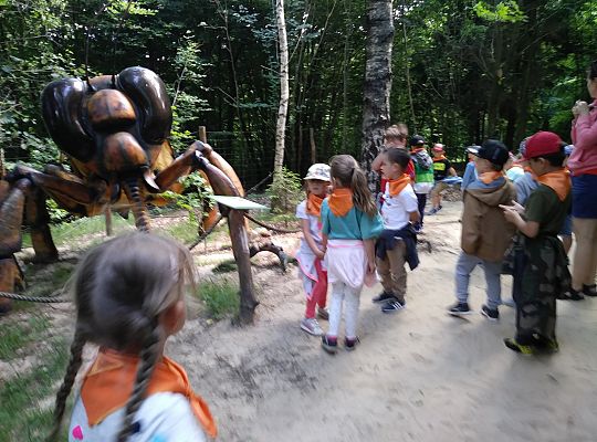 Wycieczka do Stryszej Budy gr III,IV