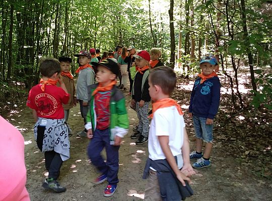 Wycieczka do Stryszej Budy gr III,IV